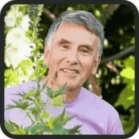 Whispeara-testimonial2